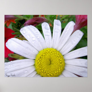 固定式デイジー5 ポスター