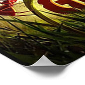 固定 ポスター (角)