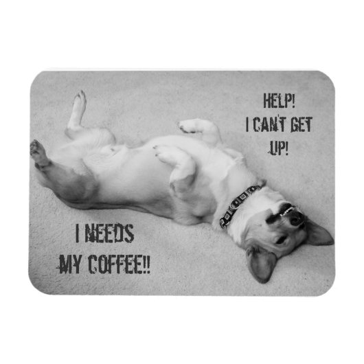 固救済定できない マグネット (横)