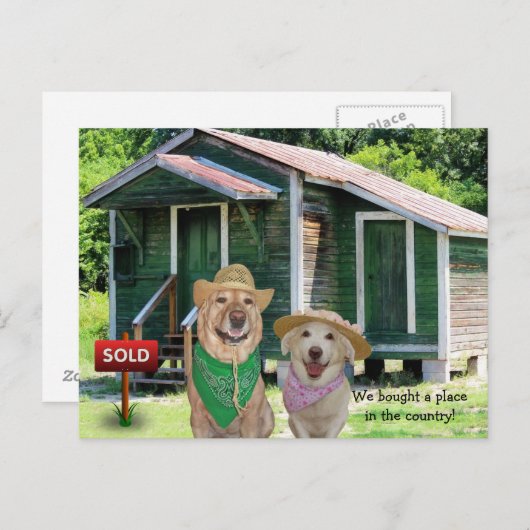 国おもしろいはがきに新しい住所/場所 案内ポストカード (正面/裏面)