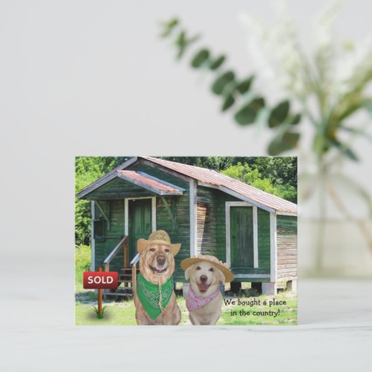 国おもしろいはがきに新しい住所/場所 案内ポストカード (スタンド正面)