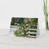 国かわいらしの垣根アートの白いバラ カード (正面)