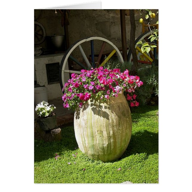 国のつぼ (正面)