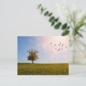 国のアイドル ポストカード (スタンド正面)