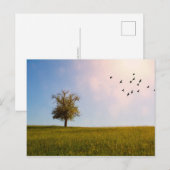 国のアイドル ポストカード (正面/裏面)