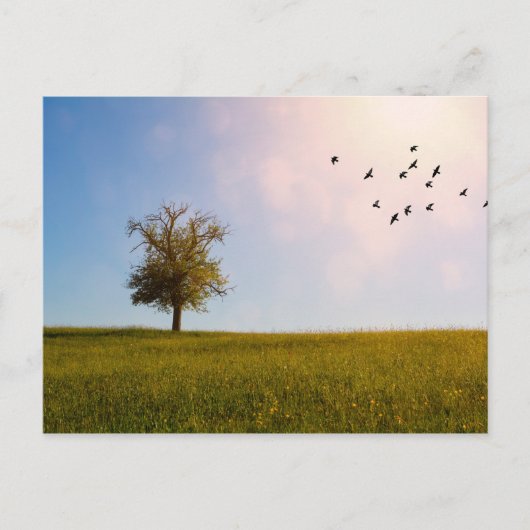 国のアイドル ポストカード (正面)