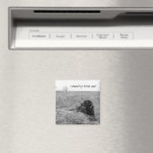 国のタイムアウト磁石 マグネット (インサイチュ (食洗機))