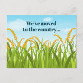 国のトウモロコシ畑への引っ越しました 案内ポストカード (正面)