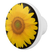 国のヒマワリの円形の陶磁器の引き セラミックノブ (右)