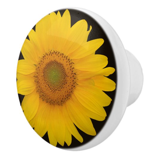 国のヒマワリの円形の陶磁器の引き セラミックノブ (右)