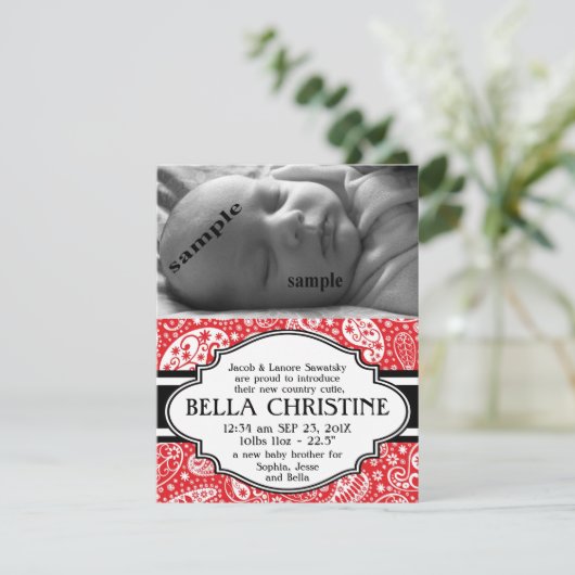 国のペイズリーの新生児の女の子の誕生の発表 案内状 (スタンド正面)