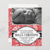 国のペイズリーの新生児の女の子の誕生の発表 案内状 (正面/裏面)