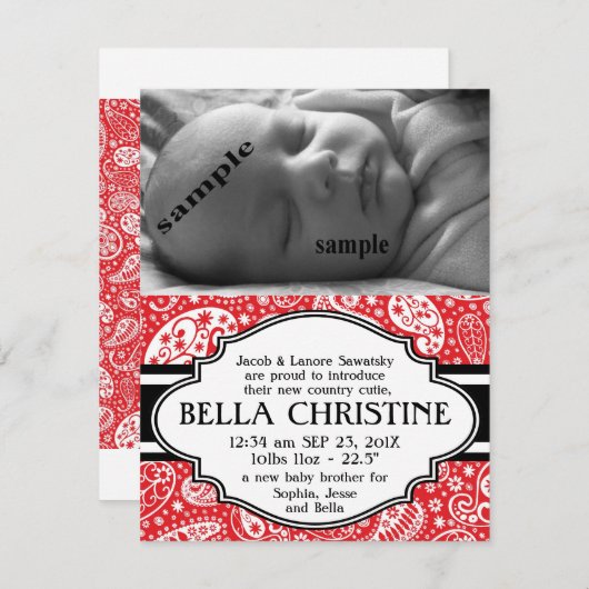 国のペイズリーの新生児の女の子の誕生の発表 案内状 (正面/裏面)