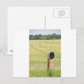 国のメールボックス ポストカード (正面/裏面)