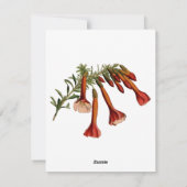 国の地図におけるボリビア国旗 シーズンカード (裏面)