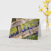 国の塀のまわりのテキサス州Bluebonnets カード (黄色い花)