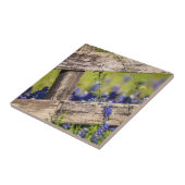 国の塀のまわりのテキサス州Bluebonnets タイル (側面)