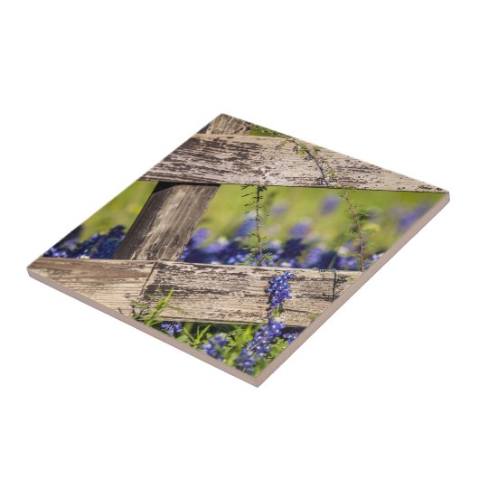 国の塀のまわりのテキサス州Bluebonnets タイル (側面)