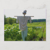 国の庭のかかしの自然 ポストカード (正面)