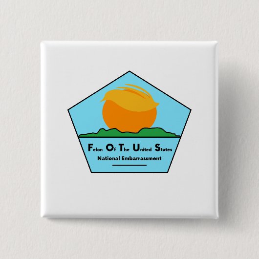 国の恥 缶バッジ (正面)