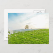 国の春の景色 ポストカード (正面/裏面)