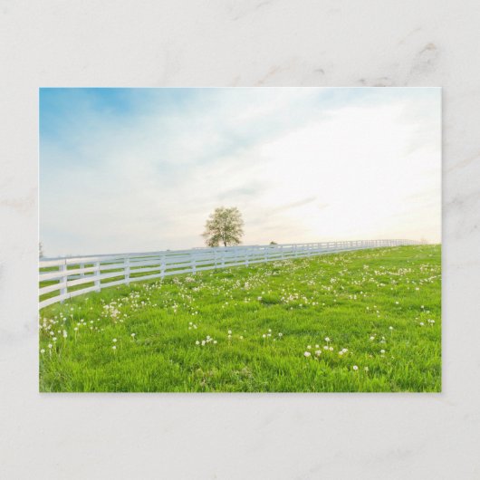 国の春の景色 ポストカード (正面)