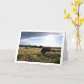 国の朝の風景 カード (黄色い花)
