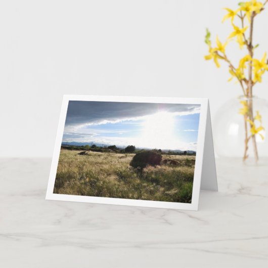 国の朝の風景 カード (黄色い花)