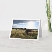 国の朝の風景 カード (正面)