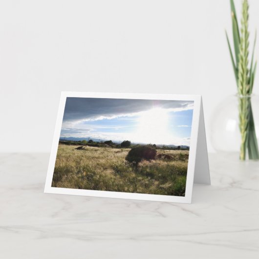 国の朝の風景 カード (正面)