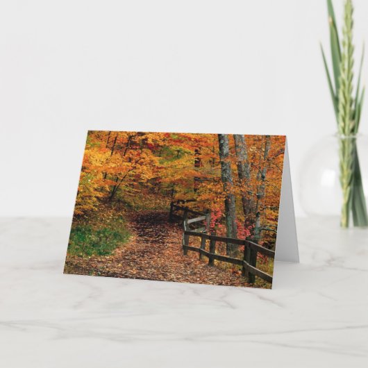 国の歩行 カード (正面)