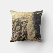 国の素朴自然岩の表面写真 クッション (裏面)
