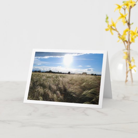国の草原の日の出の風景 カード (黄色い花)