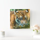 国の虎の青年 スクエア壁時計 (ホーム)