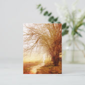 国の車線の郵便はがき ポストカード (スタンド正面)