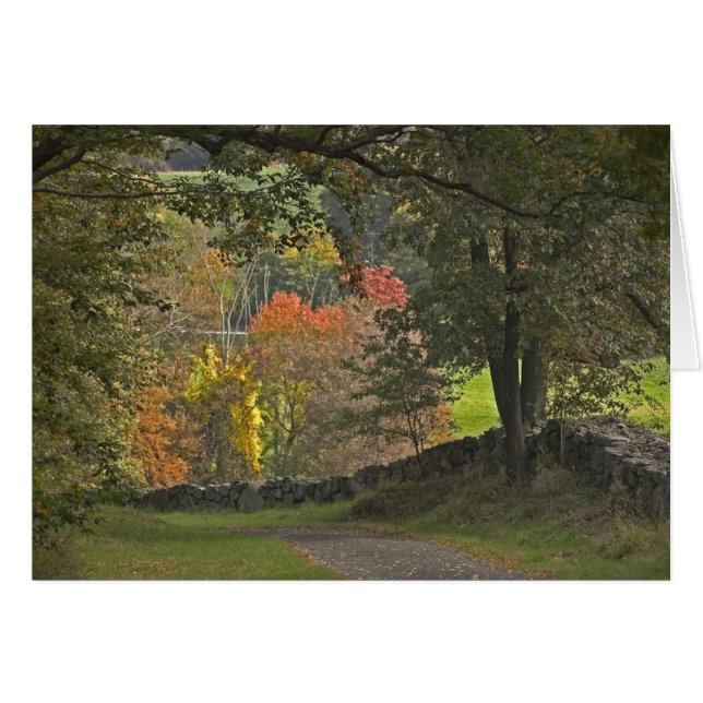 国の車線 (正面横)