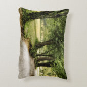 国の道 アクセントクッション (裏面(縦))