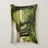 国の道 アクセントクッション (正面(垂直))