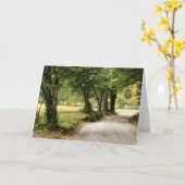 国の道 カード (黄色い花)