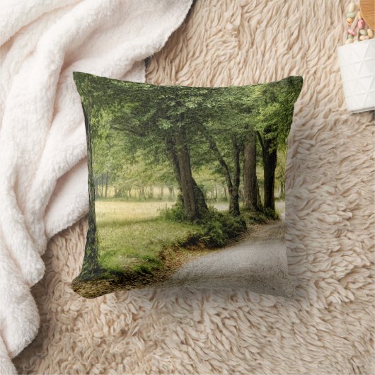 国の道 クッション (ブランケット)