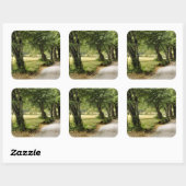 国の道 スクエアシール (シート)