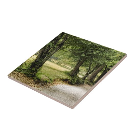 国の道 タイル (側面)