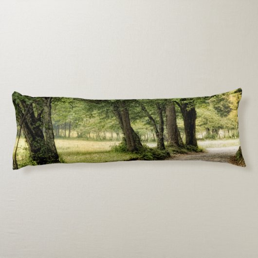 国の道 ボディピロー (裏面)