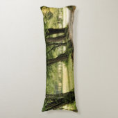 国の道 ボディピロー (正面縦)