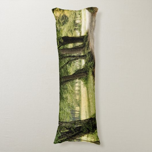 国の道 ボディピロー (正面縦)