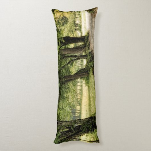 国の道 ボディピロー (裏面 (縦))