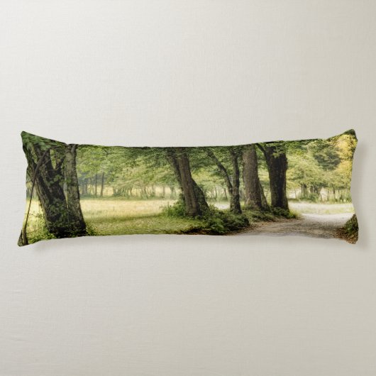 国の道 ボディピロー (正面)