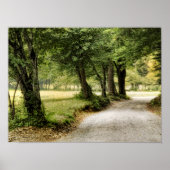 国の道 ポスター (正面)