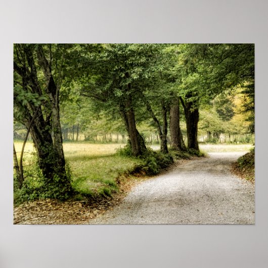 国の道 ポスター (正面)