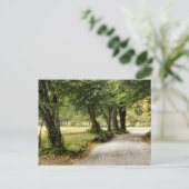 国の道 ポストカード (スタンド正面)